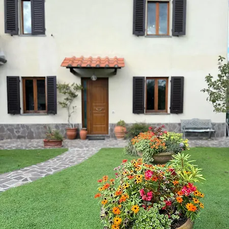 Iliana Villa
