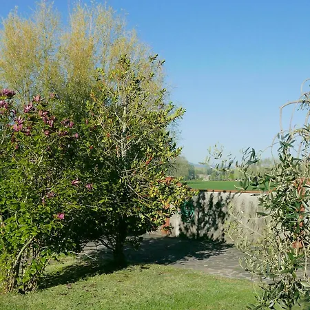 Iliana Villa Lucca